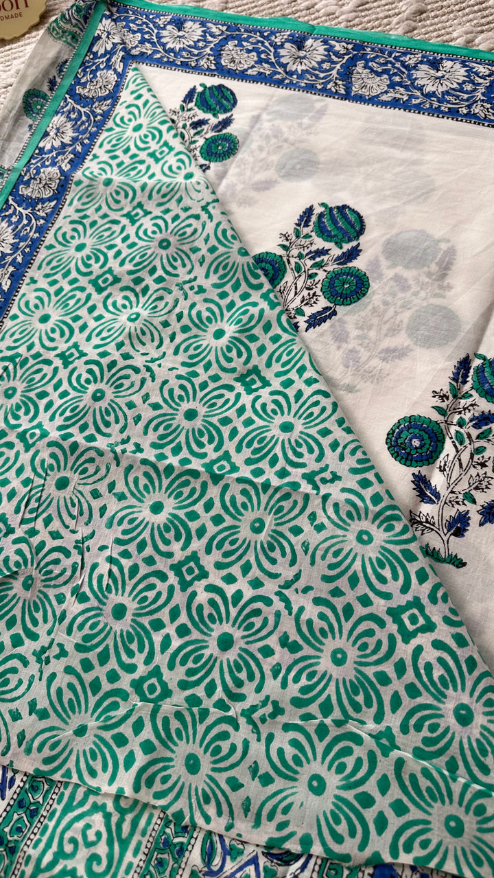 BAGRU HAND BLOCK PRINTED SOFT MULMUL COTTON SAREE- 065